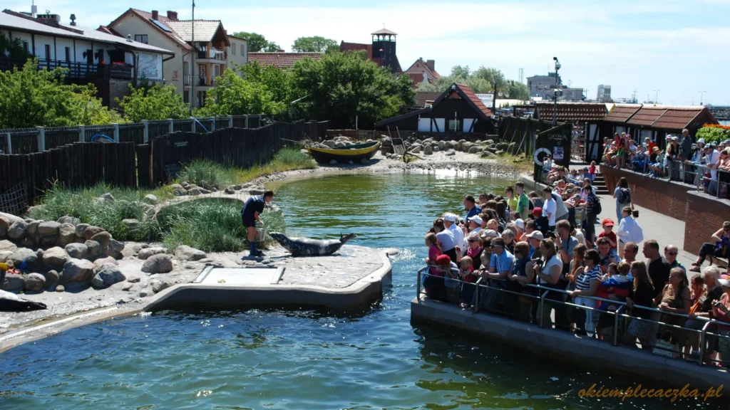 Fokarium scaled 1 - Tramwaj Wodny Sopot Hel